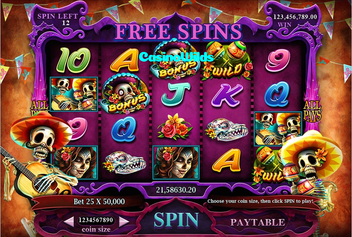 available types of CasinoWilds bet including pre-match live express and system bets